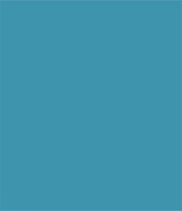 Dark Blue Rectangle