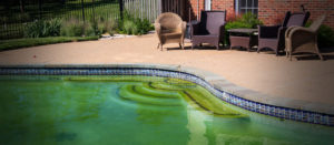 Green Pool Water