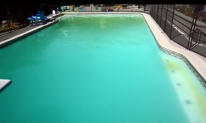 pool troopers