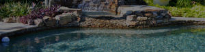 Pool Service Sign Up
