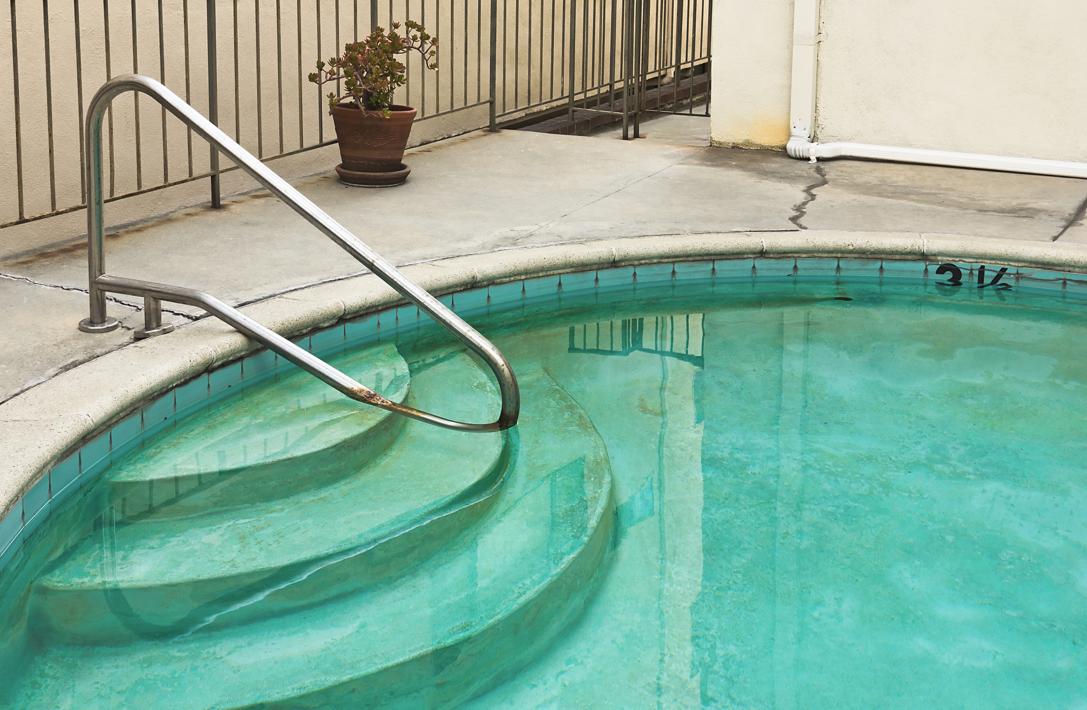 black algae in vinyl pool