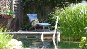 Swimming Pond Benefits