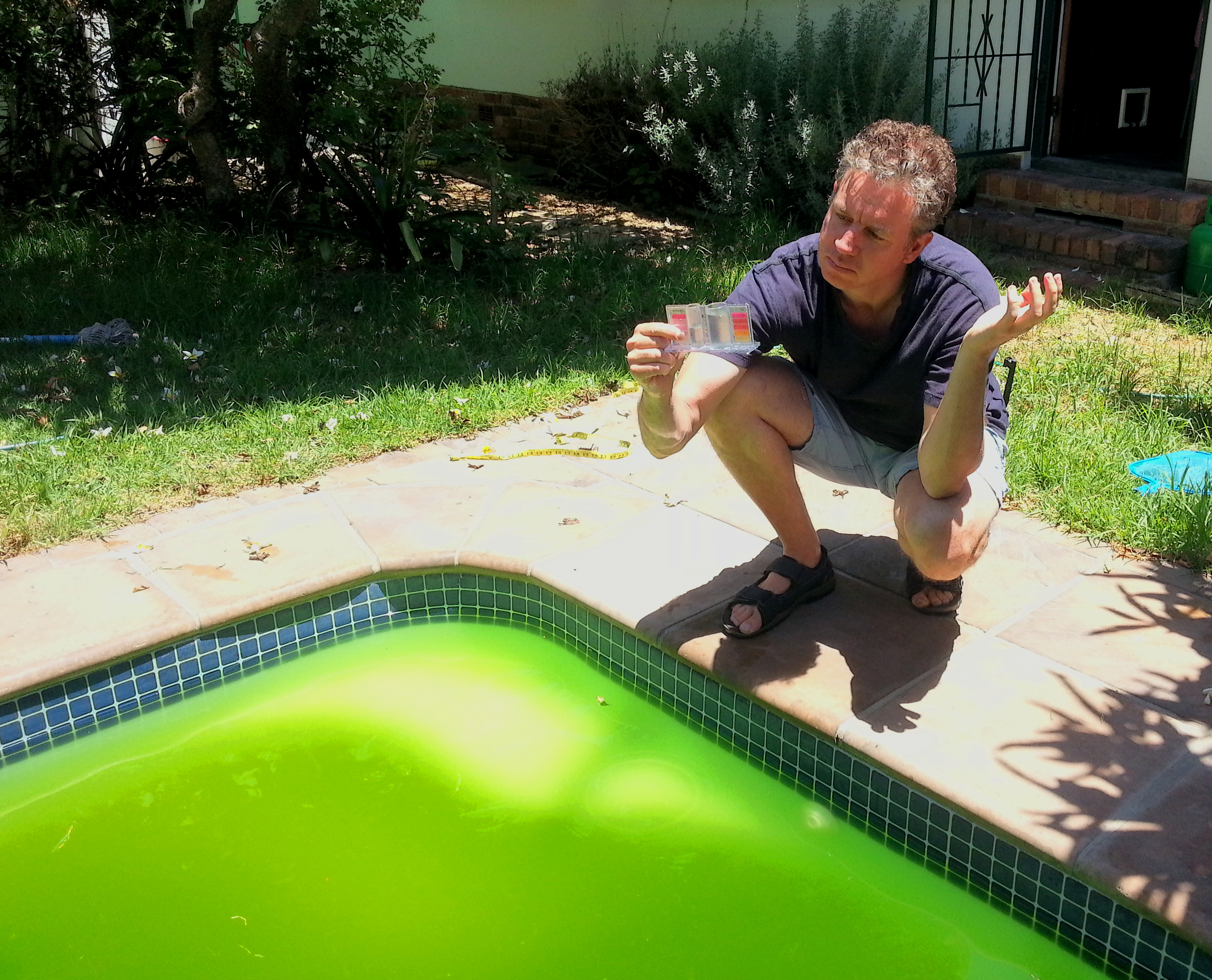 Green Pool Cleaning Tips