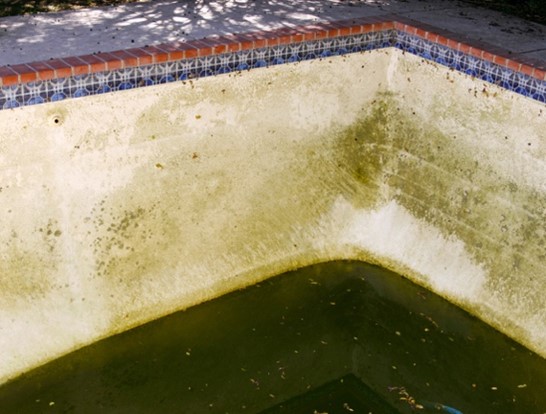 Copper Stains In Swimming Pools