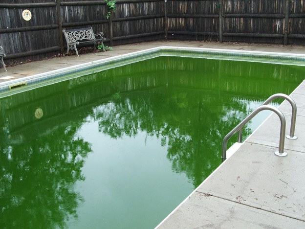 Pool Water Color: How to Select and What Affects It